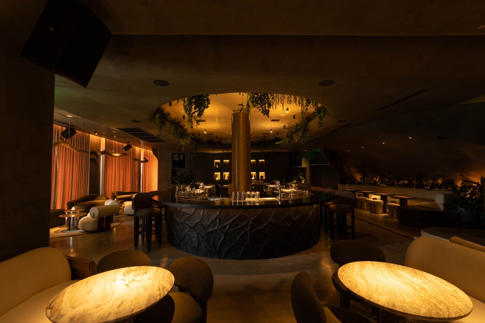 Eleven Eleven was inspired by Mexico City’s contemporary creativity and layered culture. (Courtesy Jason Haas)