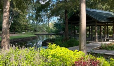 Visit Mercer Botanic Gardens in Humble for a free Tai Chi class. (Courtesy Friends of Mercer Botanic Gardens)