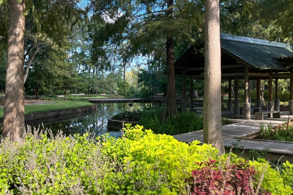 Visit Mercer Botanic Gardens in Humble for a free Tai Chi class. (Courtesy Friends of Mercer Botanic Gardens)