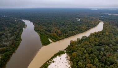 The land is located between Spring Creek (left) and the West Fork of the San Jacinto River (right). (Courtesy Bob Rehak)