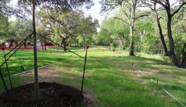 January Drive Flood Risk Reduction project