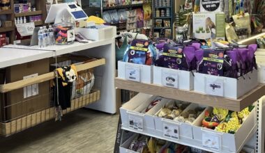 The Kitty Bodega is a cat store with supplies and services specifically for cats. It originally opened in 2022, and recently moved to a new location. (Courtesy The Kitty Bodega)