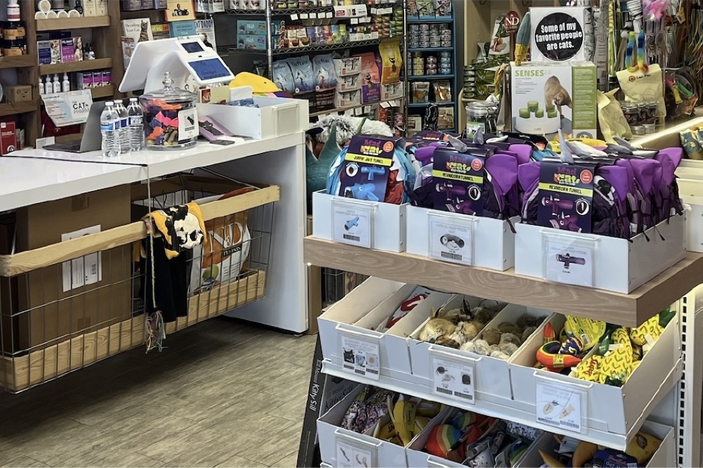 The Kitty Bodega is a cat store with supplies and services specifically for cats. It originally opened in 2022, and recently moved to a new location. (Courtesy The Kitty Bodega)