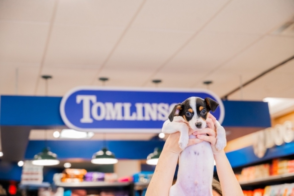 Austin-based pet store Tomlinson's Feed has plans to add another Georgetown location. (Courtesy Tomlinson's Feed)