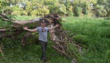 The owner stands in front of a large uprooted tree on the property surrounded by green trees and grass.