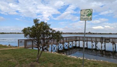 Lake Pflugerville has several fishing piers available to the public along its walking trail. (Community Impact staff)