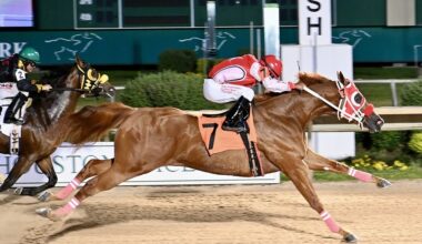 Attendees can enjoy whiskey tasting and horse races at The Sam Houston Race Park on June 13. (Courtesy Sam Houston Race Park)
