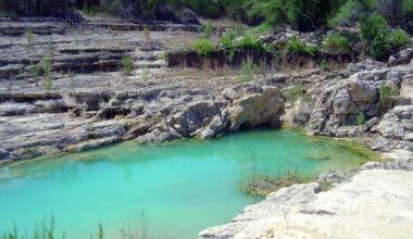 Groundwater Management Area 12 includes Lost Pines Groundwater Conservation District, which serves Bastrop County. This area includes mainly the Carrizo-Wilcox Aquifer, but includes a small portion of the Trinity Aquifer (pictured). (Courtesy Guadalupe-Blanco River Authority)