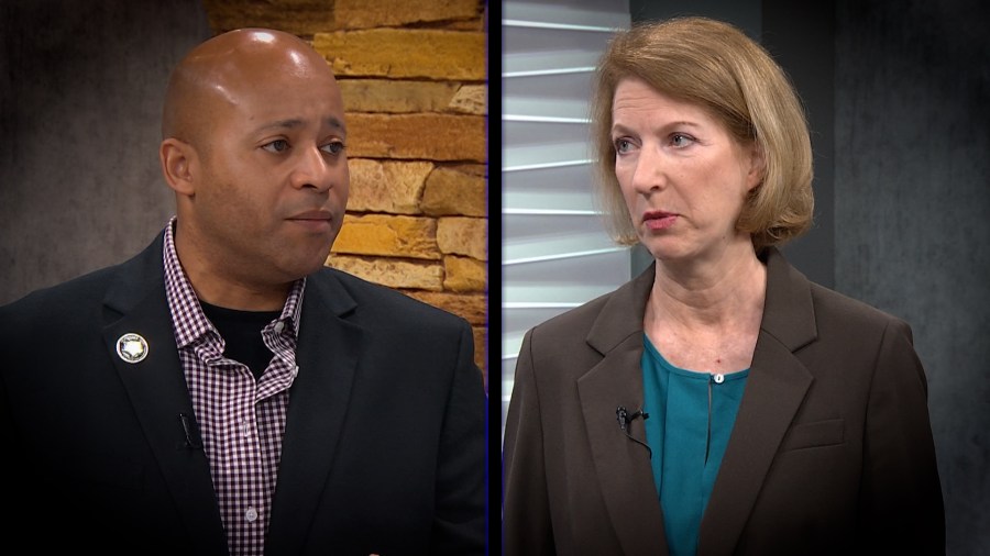 What to know about the candidates in the Democratic runoff for Texas lieutenant governor