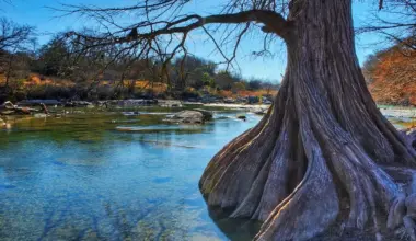 25 breathtaking Texas state parks within driving distance of San Antonio