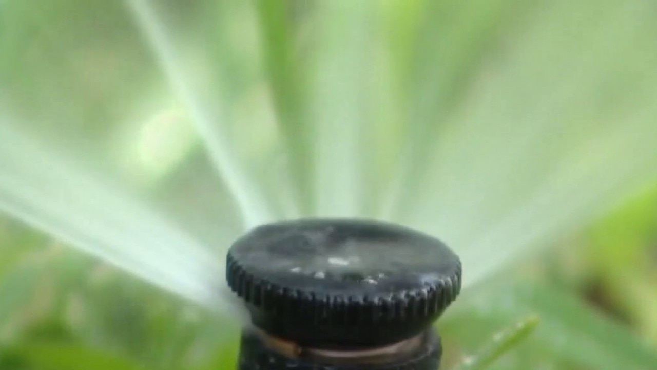 PREVIOUS COVERAGE: Continued water conservation concerns in Hays County