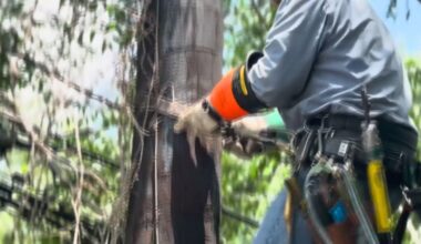 AEP: Storm recovery efforts | kiiitv.com