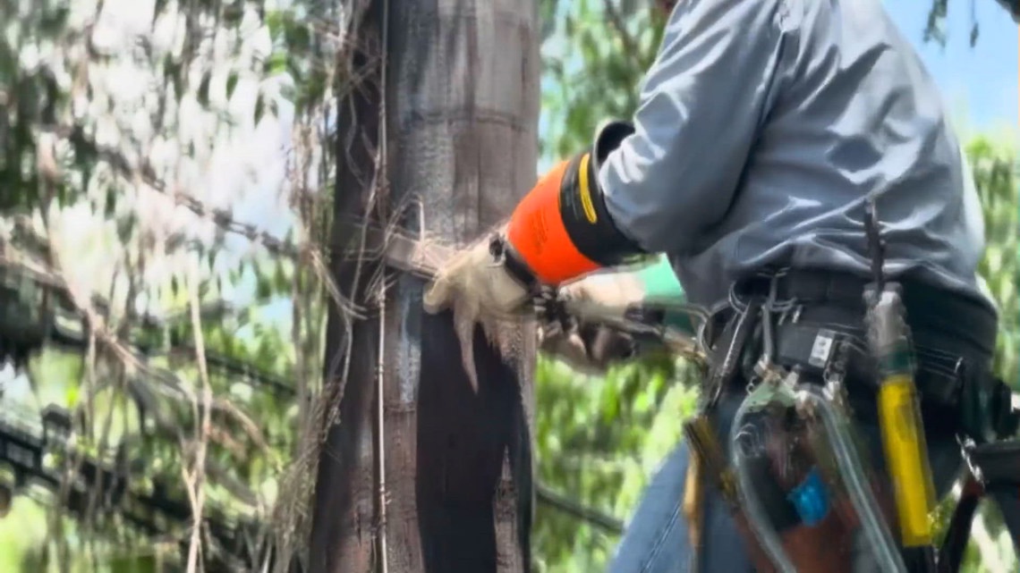 AEP: Storm recovery efforts | kiiitv.com