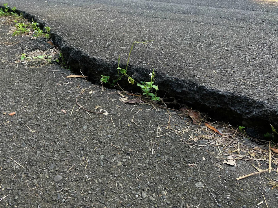 A new report finds that Katy has sunk about 14 inches since 2007. Officials cite groundwater withdrawal as a major contributor to the subsidence. (Yessi Pravita/Getty Images)