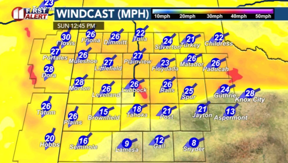 Gusty north winds