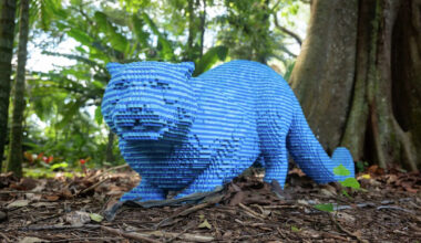 Legos meet nature at FW Botanic Garden this summer