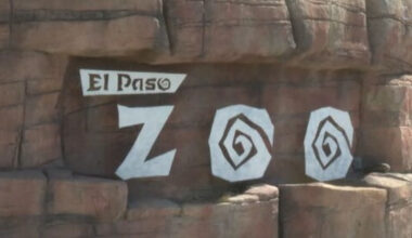 station icon