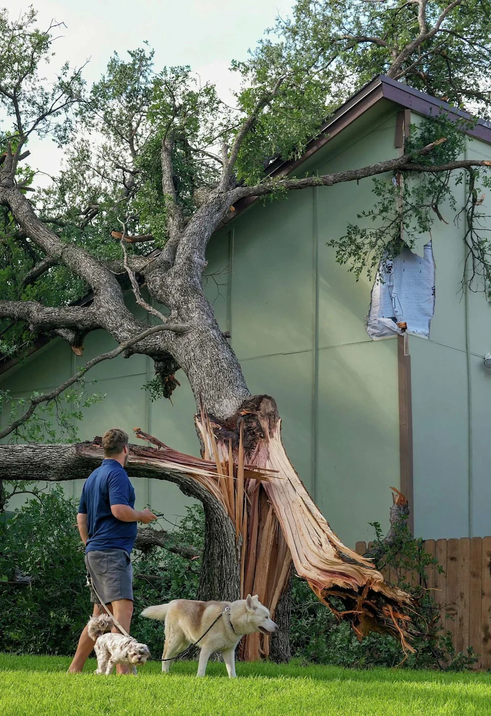 Pat Duffy looks at a snapped tree that damaged a house at the Timber Ridge townhomes on Timber Ridge Drive in Austin on Monday, May 11, 2026, after a storm moved through the area Sunday night. (Jay Janner/Austin American-Statesman)