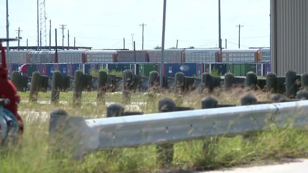 Scene where 6 bodies were found