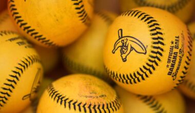 Banana Ball touring teams reschedule Corpus Christi fan event