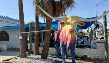 J&J Oyster Bar is closing, but its longhorn is moo-ving to a new Fort Worth home