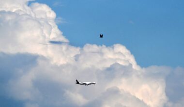 AI Program Greatly Eases Travel Planning, Aerospace Veteran Says | NewsRadio 740 KTRH