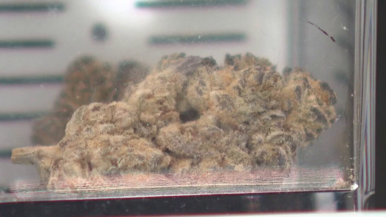 FILE – Judge temporarily halts THC ban in Texas