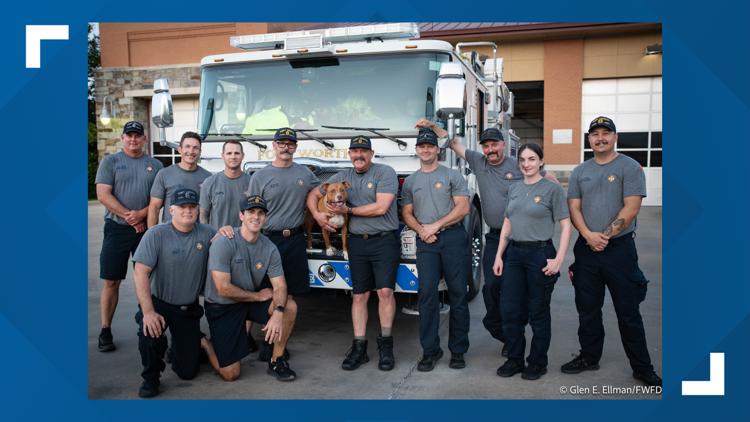 Meet the lucky new member of the Fort Worth Fire Department: Jake, the dog