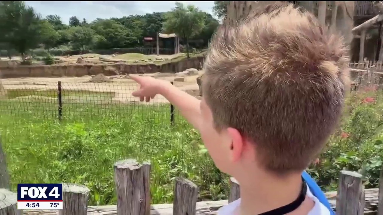 More than just a day at the zoo, it is Dallas Zoo Covid redo