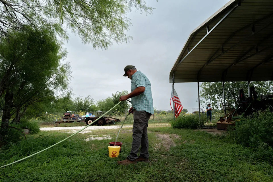 ROBSTOWN, TEXAS - MAY 07: Samuel Alaniz prepares to provide water for his livestock at his home on May 07, 2026 in Robstown, Texas. (Brandon Bell/Getty Images)