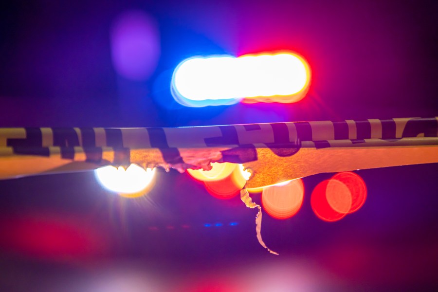 Pedestrian struck along Alameda Avenue dies