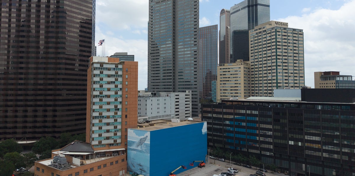 Iconic Whale Mural In Dallas Painted Over For FIFA-Related Branding Ahead Of World Cup
