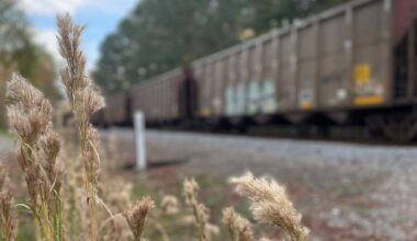 Several people found dead in Texas boxcar, investigation underway