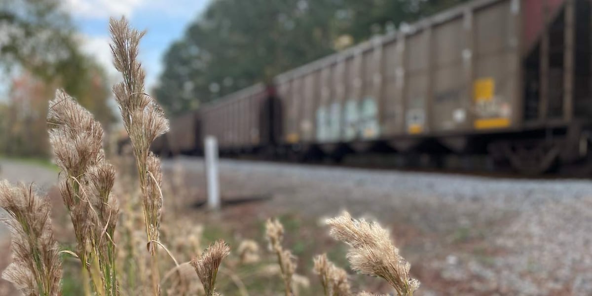 Several people found dead in Texas boxcar, investigation underway