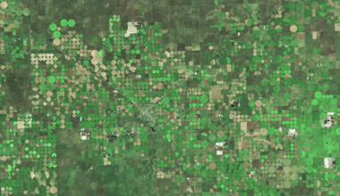 How did Texas get its crop circles?