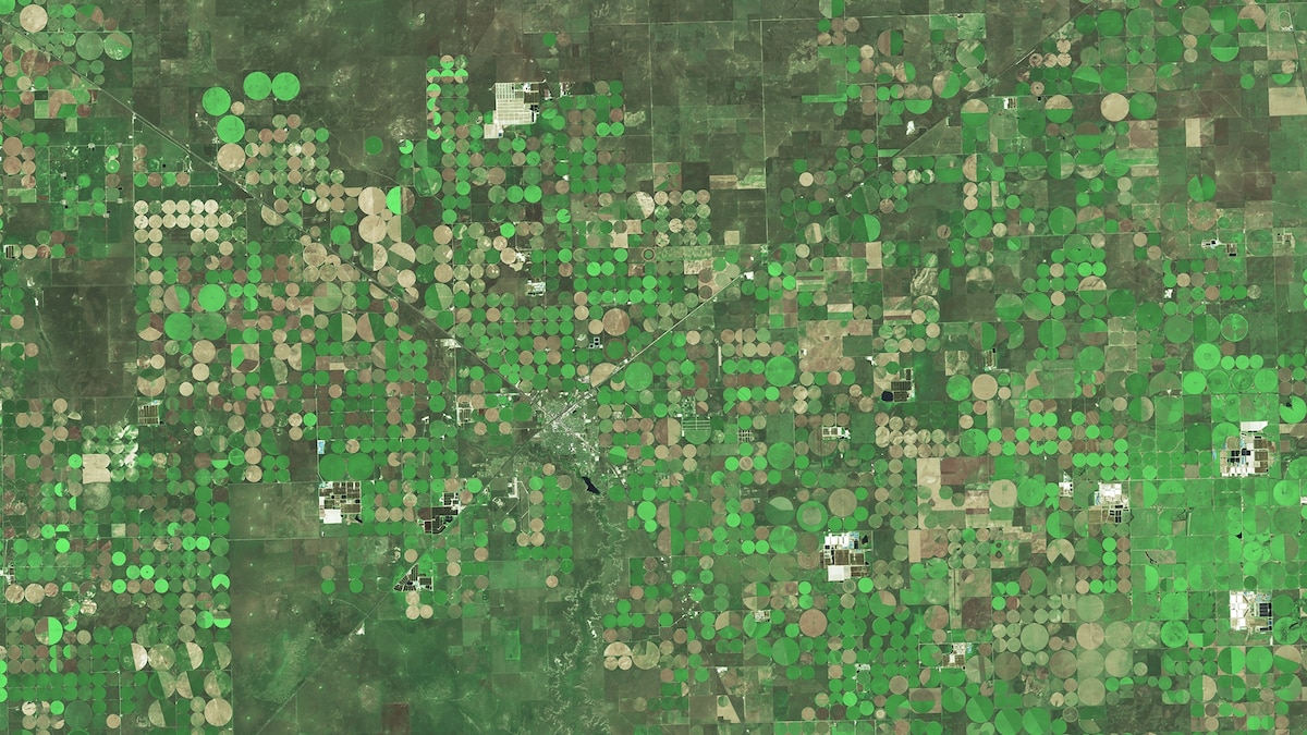 How did Texas get its crop circles?