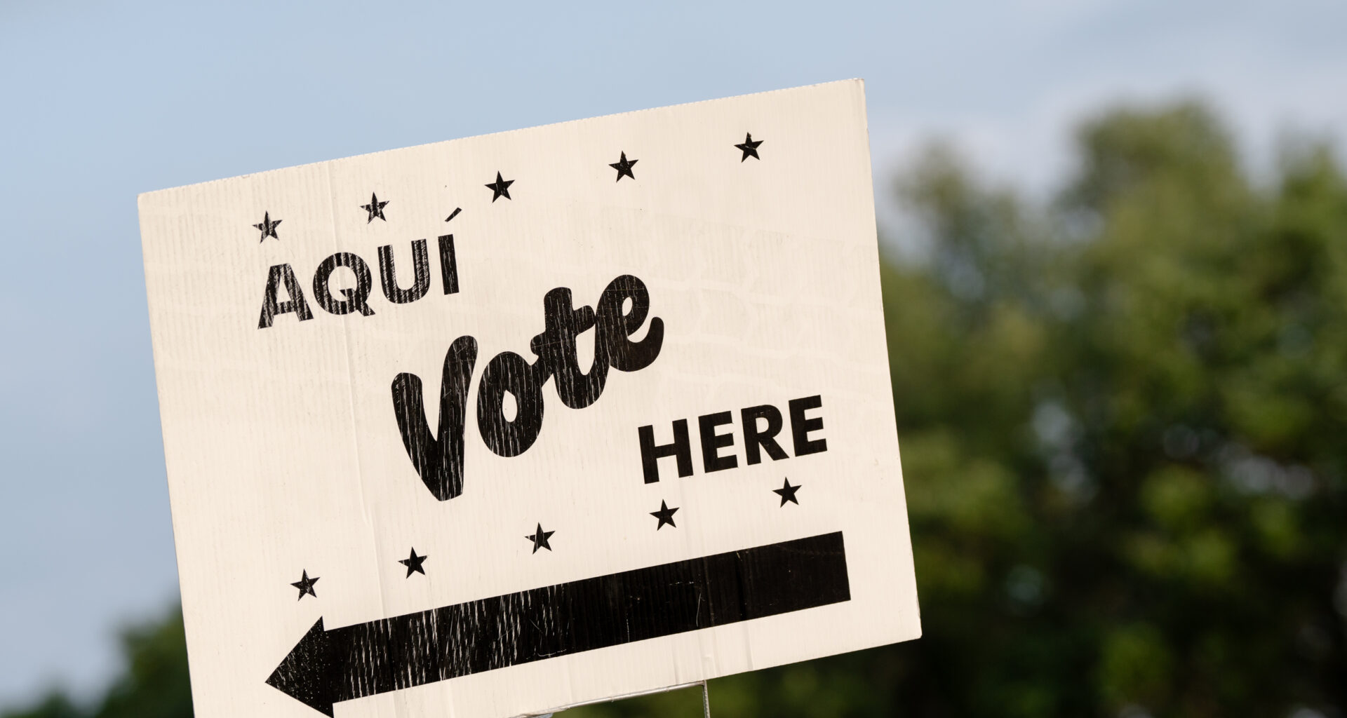 Here's how to vote in the May 26 primary runoffs