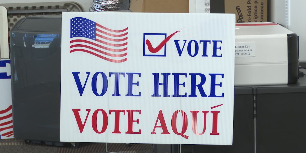 Texas primary runoff election day: What voters need to know