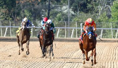 Omaha Beach's Desert Gate Airs in Texas Derby at Lone Star Park