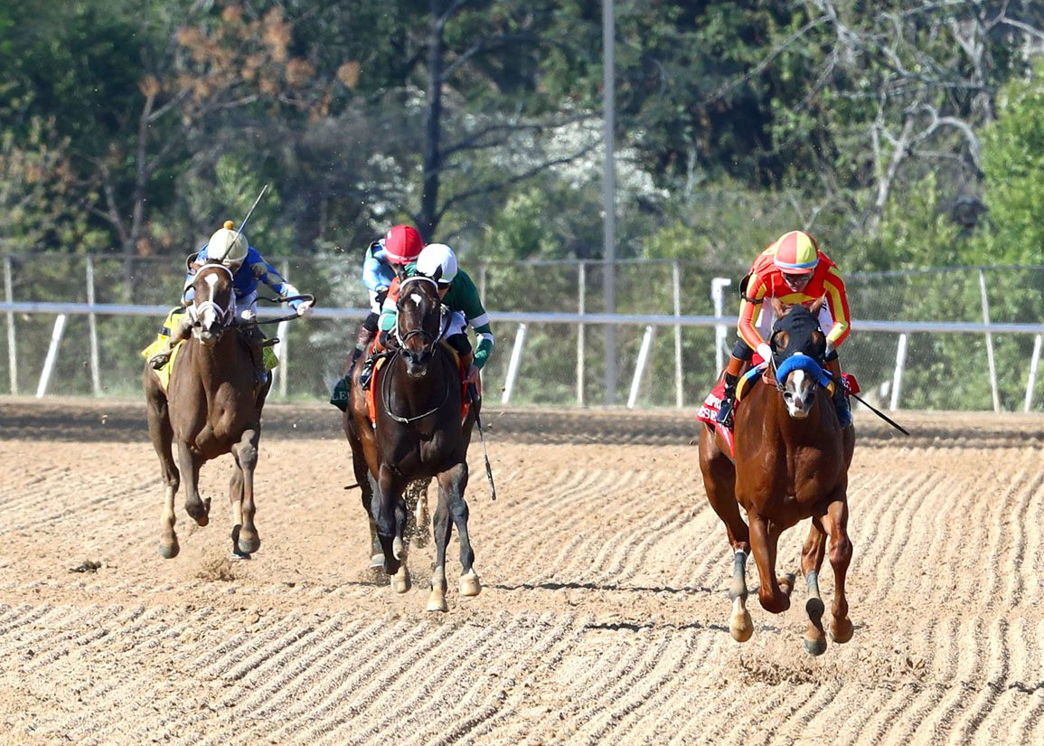 Omaha Beach's Desert Gate Airs in Texas Derby at Lone Star Park