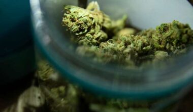 Texas shops can still sell smokeable hemp THC until July 27, judge rules
