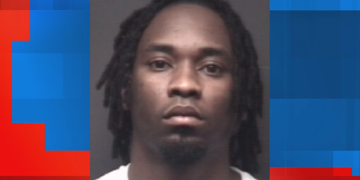 Houston man arrested for two Greenville home burglaries