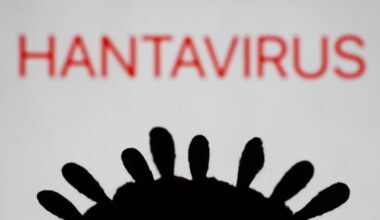 CDC says 2 Texans were on cruise ship tied to hantavirus outbreak – NBC 5 Dallas-Fort Worth