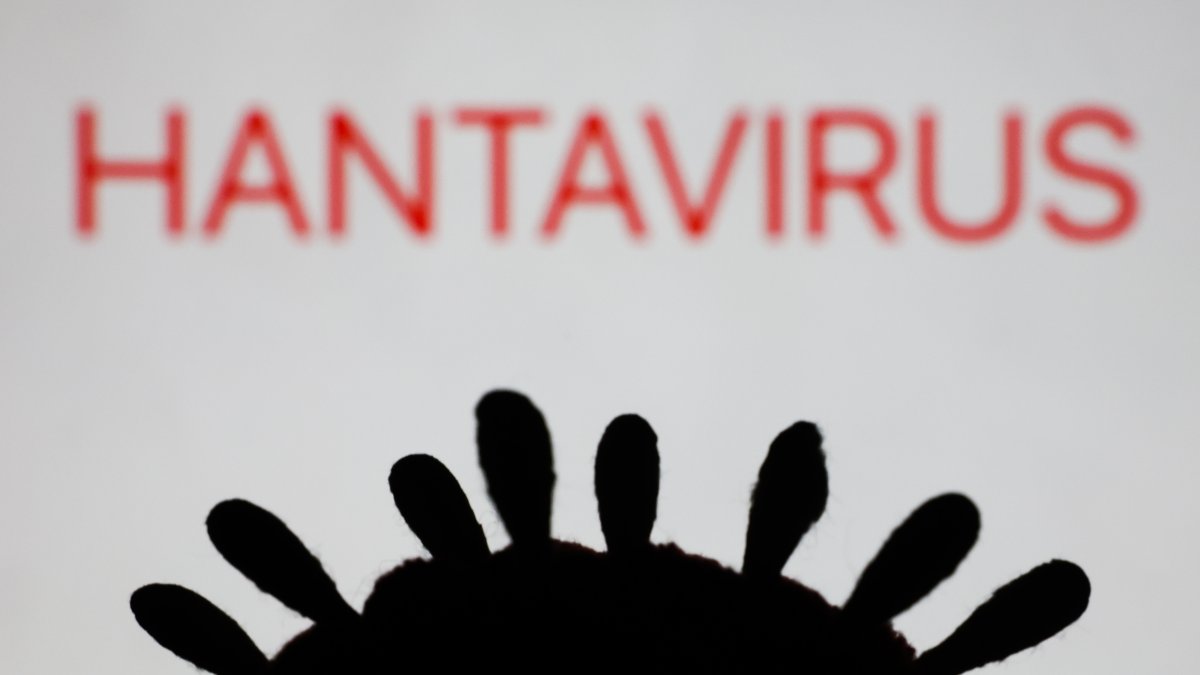 CDC says 2 Texans were on cruise ship tied to hantavirus outbreak – NBC 5 Dallas-Fort Worth