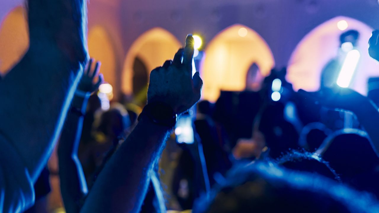 Fans enjoy a concert. (Getty Images)