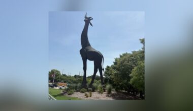 Sixth Graders Finally Visit Dallas Zoo After Pandemic Cancellation