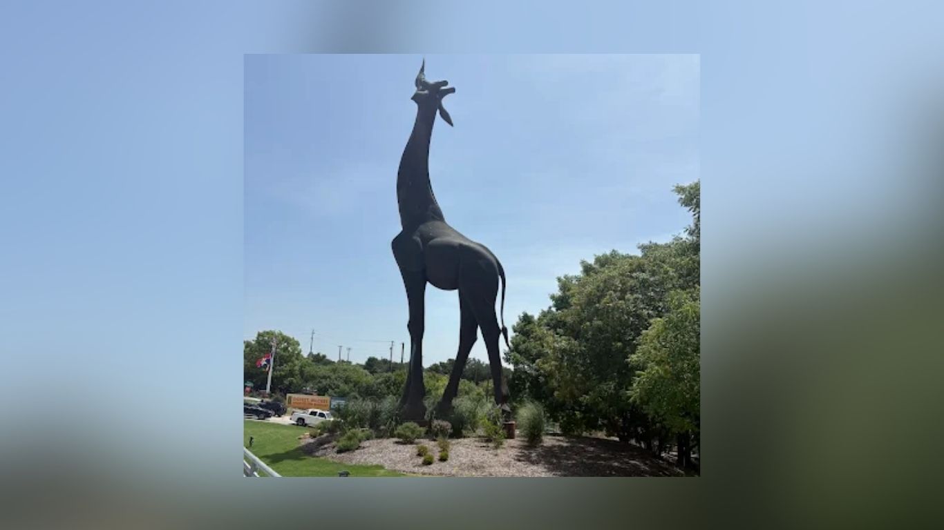 Sixth Graders Finally Visit Dallas Zoo After Pandemic Cancellation