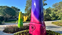 Hunt Slonem Birds Dallas Arboretum 2026