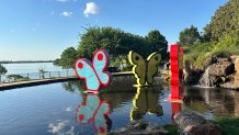Dallas Arboretum Hunt Slonem 2026 Butterflies overlook lake