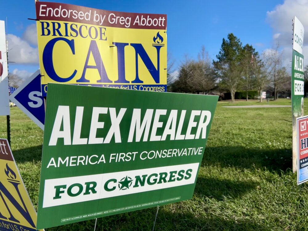 Alex Mealer Briscoe Cain Campaign Signs